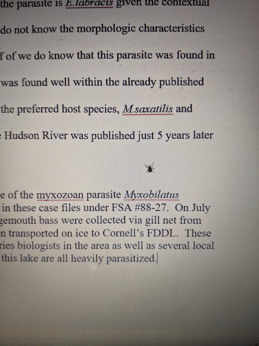 Writing a paper about parasites and I find this walking across my computer screen! The parasite gods have favored me!

Side note: cat is due for monthly preventative.