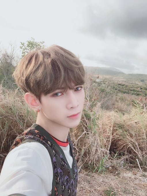 ltstwilight's tweet photo. Miren como me escapo de mi cueva para decir que 
@swordsfiles es la nueva obsesión que tengo, pues este debut me tiene #𝕷iving𝑙ikeA𝒇low𝕖r que florecerá cuando me canten Gashina en el mejor evento del mundo 🌸 #𝔈lektra𝐡as𝕓loomed.

✦ 𝓜𝚊𝚐𝚒𝚌 🪄 #𝐒ATURN ₊⊹˚ https://t.co/0kxC2LFgNp