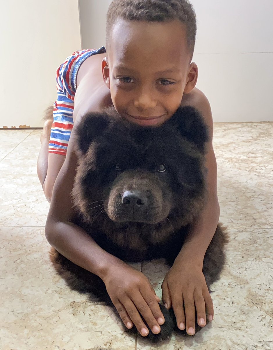 lisereis_'s tweet photo. Rafa &amp; Baruc 😍🐶 https://t.co/hLjFlmwKmY