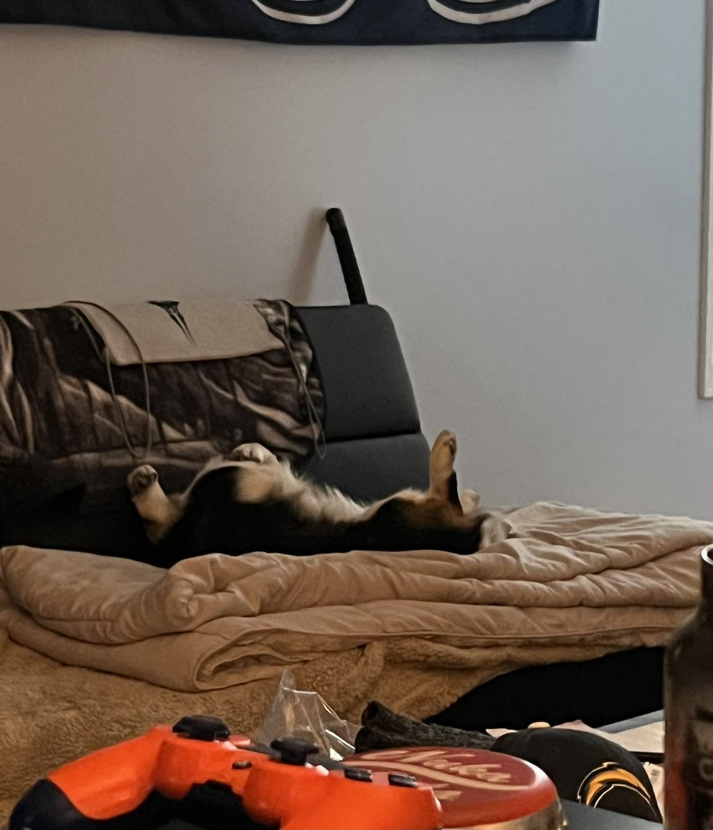 Thank you everyone who joined for the live show today, look for the recorded version to land early this week. We ended on a story involving Lotus’s puppy Boots who was like this in the background during the show…