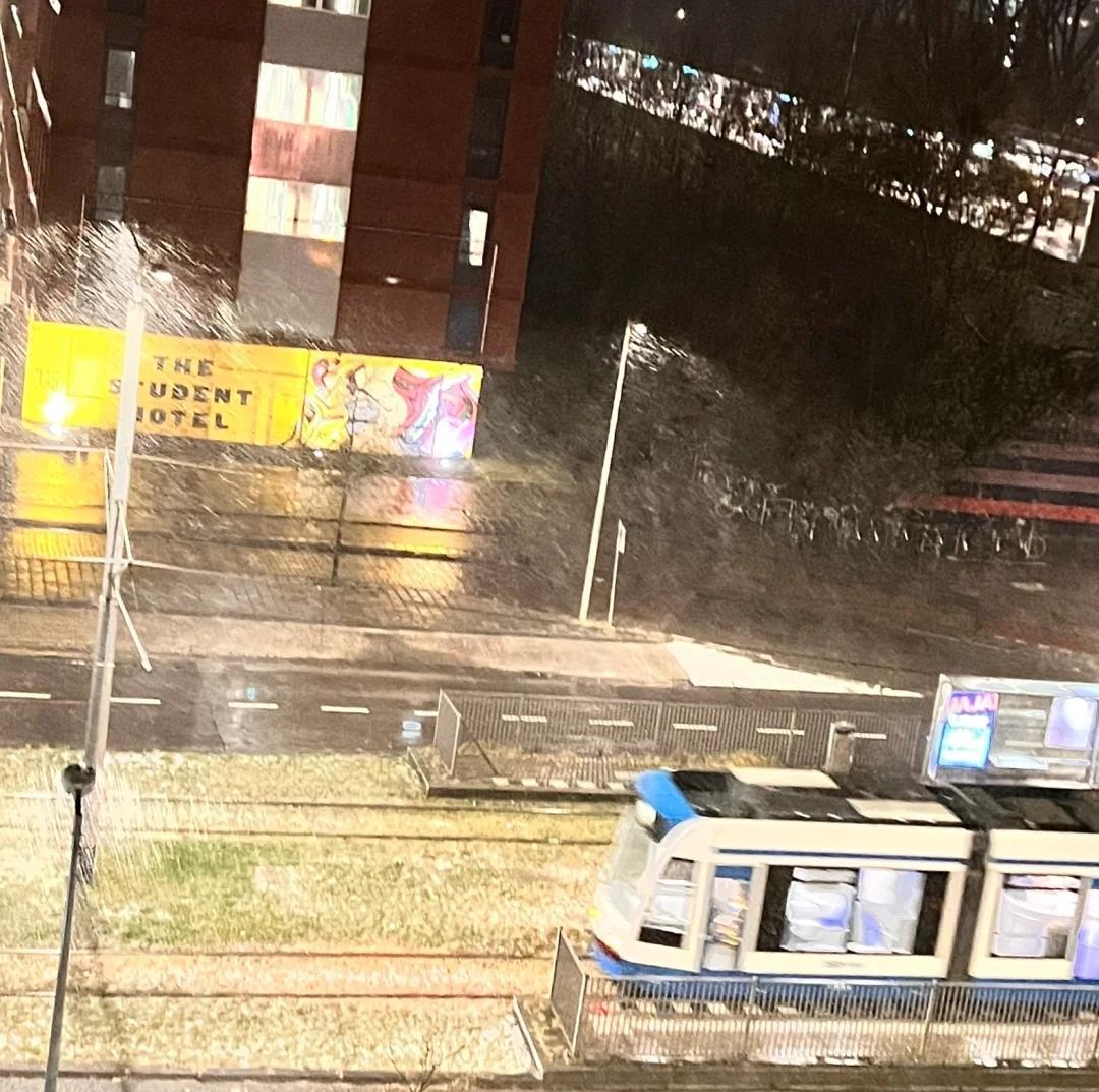 yshao734's tweet photo. I thought spring was coming, but I didn't expect it. Not every April there can be seen oh.😏😏😏 https://t.co/8p41FYIDeB