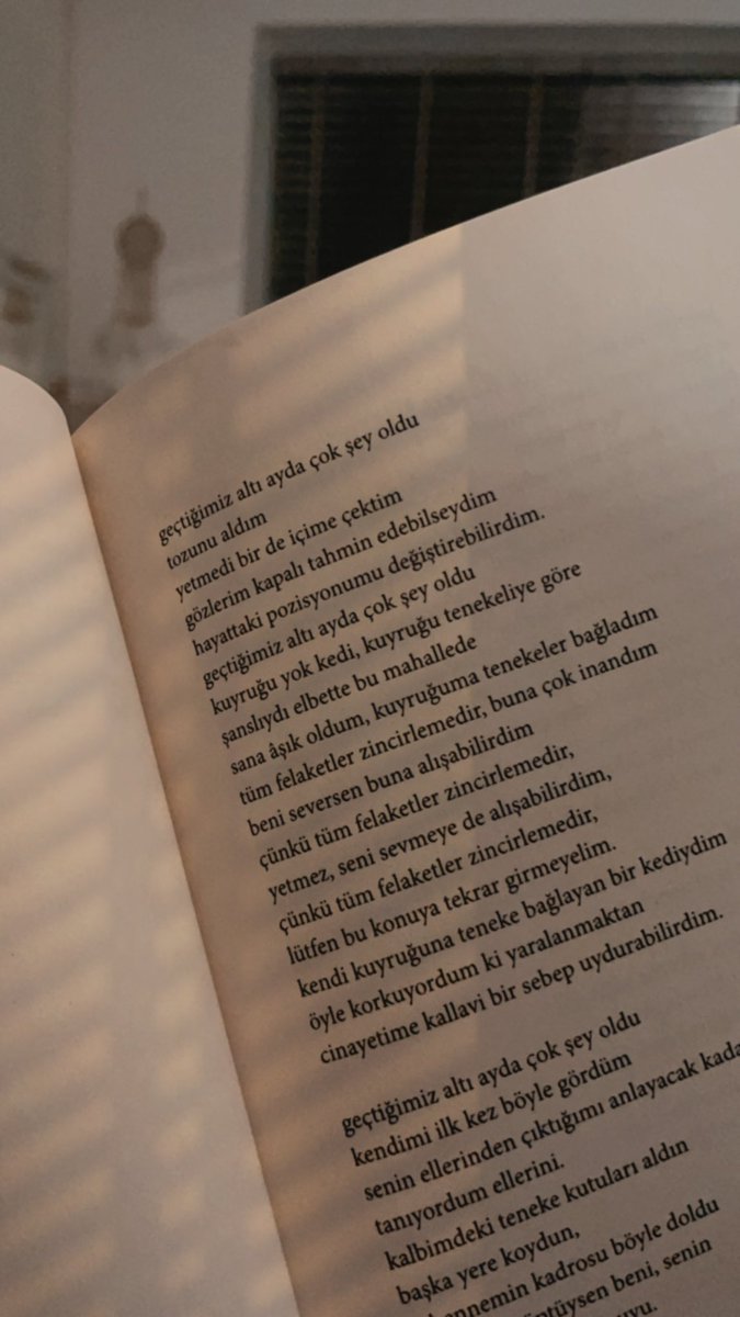 Tüm felaketler zincirlemedir*