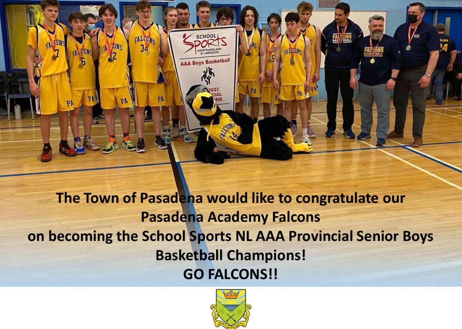 Town of Pasadena on Twitter "A big congrats to all Falcons on the School Sports NL AAA