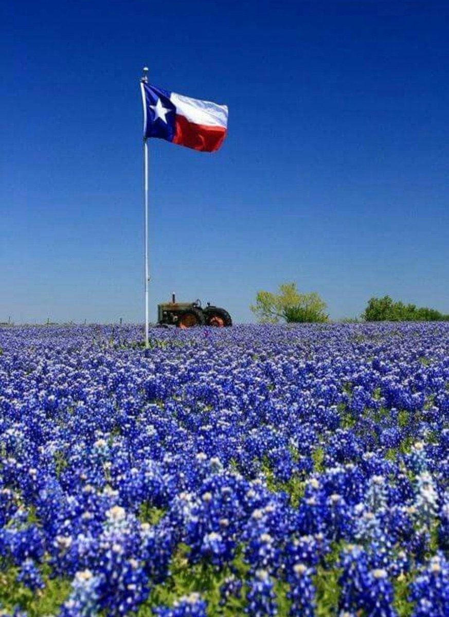 Texas, y’all. That’s the tweet.