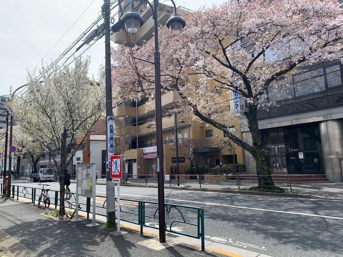 chazutanien's tweet photo. 4/2(土)（石榴の花が咲いてる。）2022早春公演、無事終演いたしました。ご来場いただいた皆様お気に留めてくださった皆様、大変ありがとうございました。
はじまって、おわりました。ひきつづき、ゆるやかに生きてまいります。中野さんが、ではまた。って帰っていってとてもよかったです。では、また。 https://t.co/M8J60SblzA