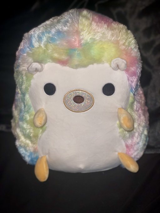 Got my first squishmallow and I luv her so very much omg look how cute 🥺 https://t.co/qAXVpzpJ1q