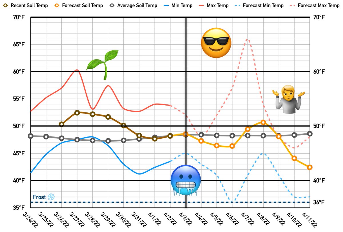 Well, I'm glad for the warmer soil temps a week ago and sowing when I had the chance, but it's a wild week coming up! Lows overnight Tue-Wed around the frost level (36º), up to the high 60s on Thursday, but maybe frost again next weekend‽ It may be April, but this is not Spring.