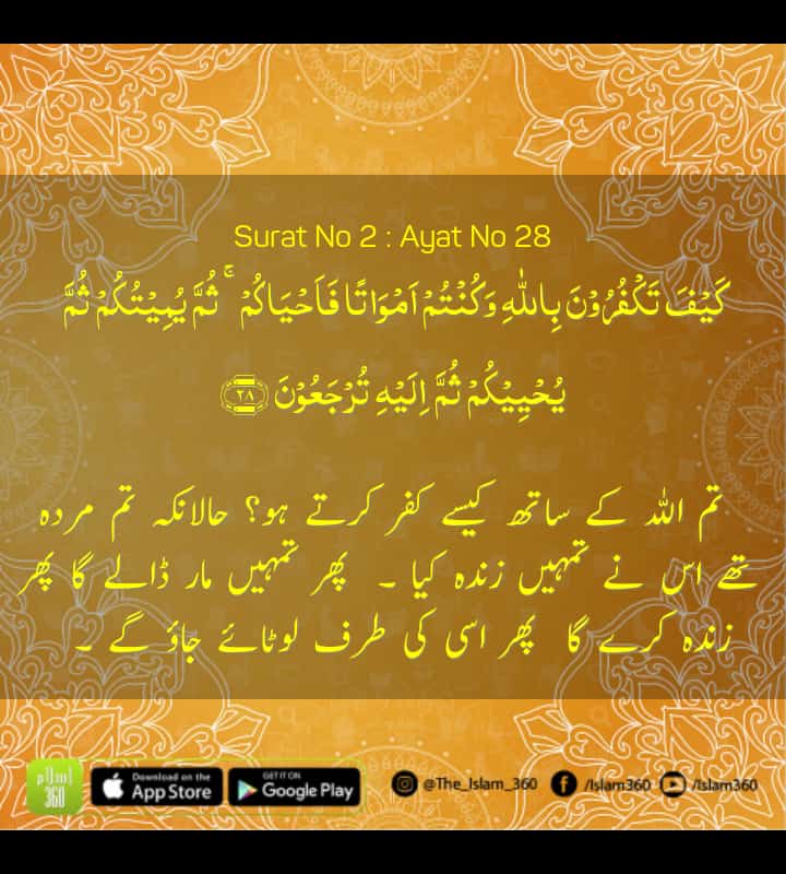 waseem_dahar94's tweet photo. تم اللہ کے ساتھ کیسے کفر کرتے ہو؟
......
#2ndRamadan #goodmorning https://t.co/zE3WTwoX3X