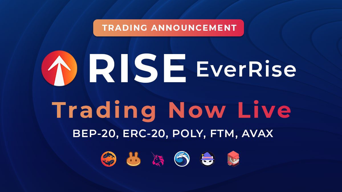 EverRise tweet media