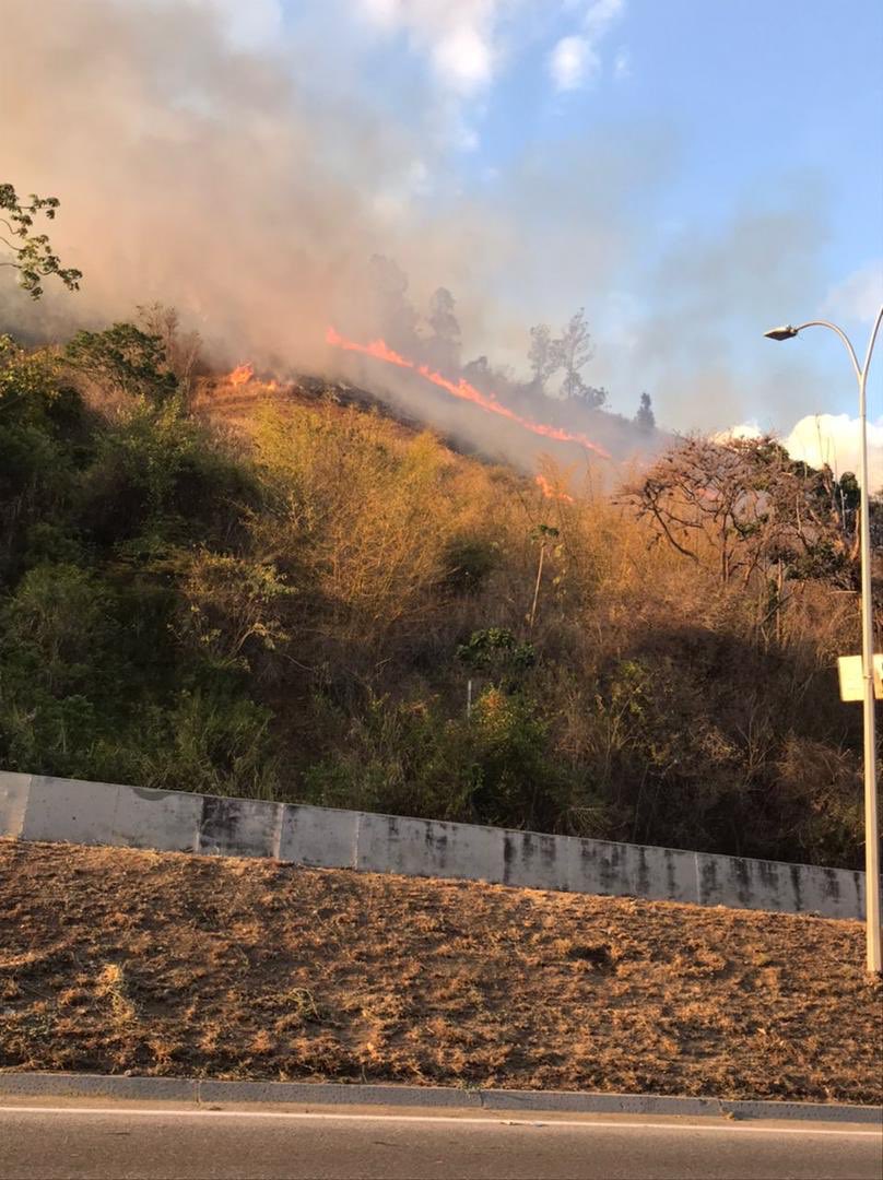 RCR750's tweet photo. sunepinparques2 IncendioForestal en El Avila se propaga hacia el Sector #EstriboDeDuarte Igualmente informamos que se escuentra #extraviado un ciudadano que salió del Sector Puerta Caracas hacia Picacho de Galipan a mitad de camino se perdió ya está activada la búsqueda. https://t.co/KeTnNWzjK8