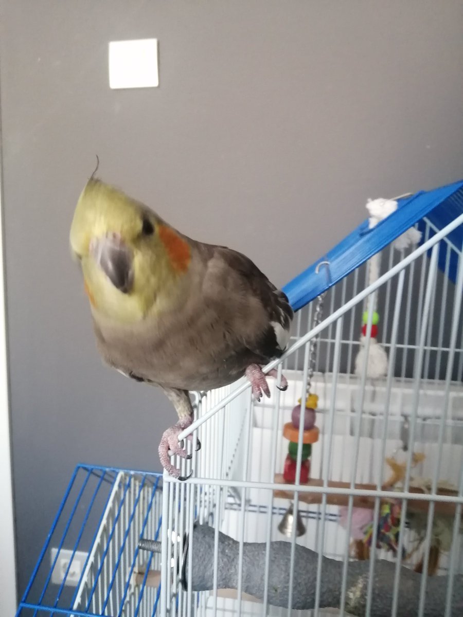 💪💪💪 tweet media