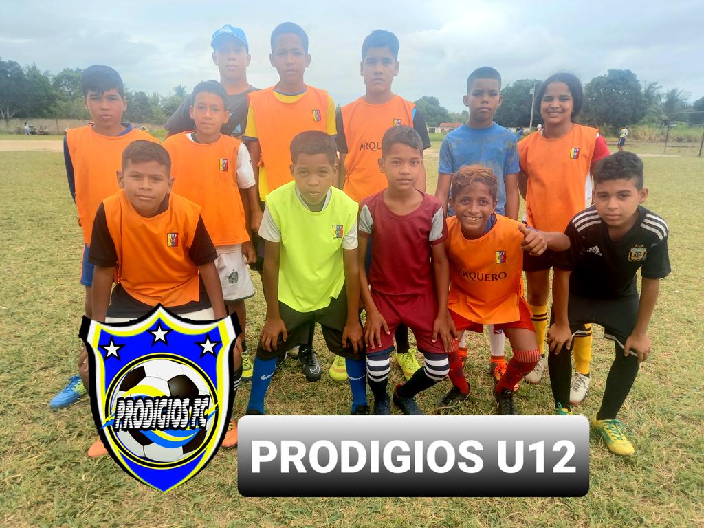 ProdigiosDelSur's tweet photo. Nuestros prodigios U 12/15/17 con saldo positivo en la #CopaGrayCar muy buenos juegos muchachos #Felicitaciones
#amoralfutbol 
#yosoyprodigios 
#Somosprodigios 
@AfemOficial 
@morrocucho 
@palco_deportivo https://t.co/zc109qi1YM