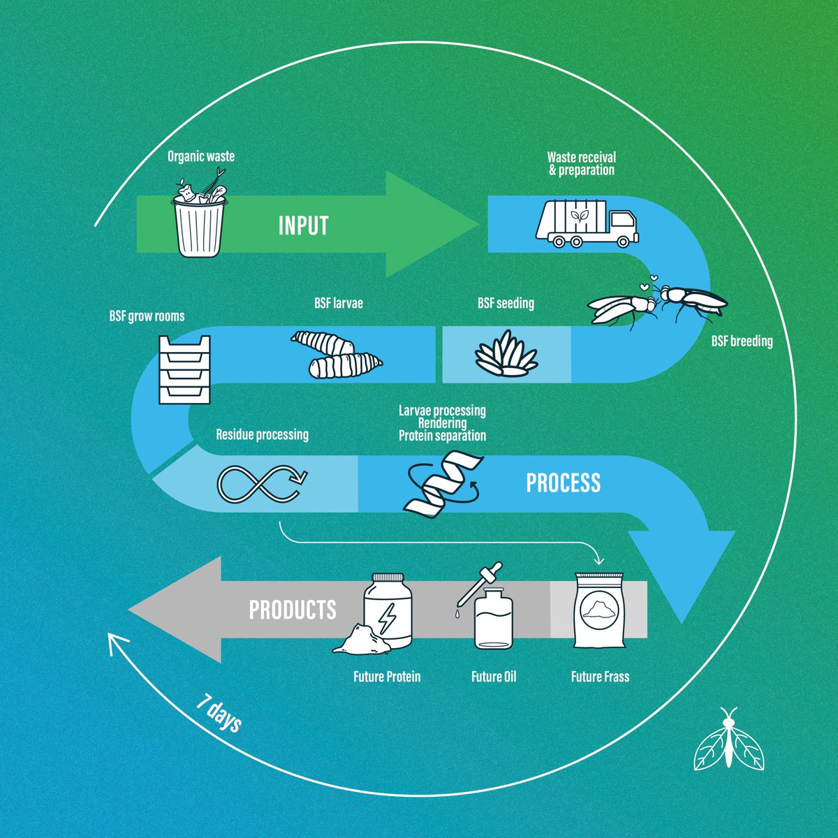 Arvela_BSF's tweet photo. Our process from organic waste input to creating FutureProtein, FutureOil and FutureFrass is a very efficient 7 days making it sustainable in numerous ways!
#regenerativeagriculture #regenerative #sustainable #circulareconomy #closedloopsystem https://t.co/SwvDXlIodS