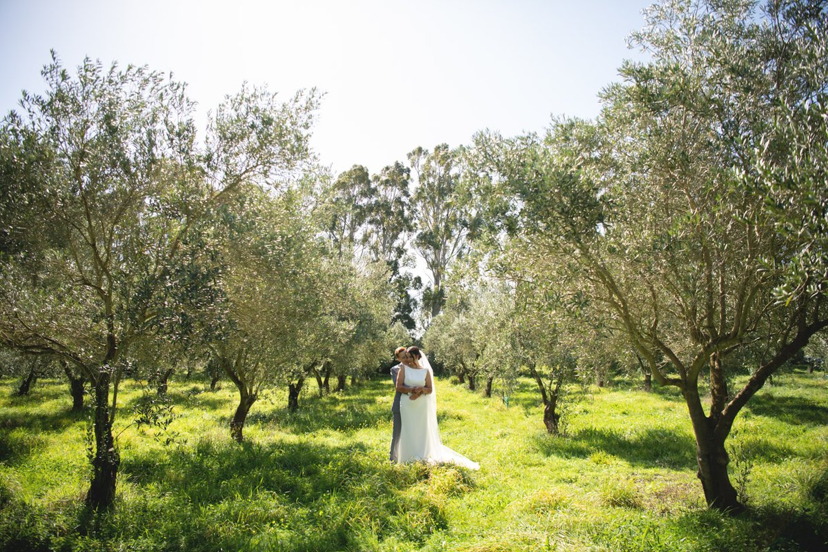 photographernz's tweet photo. The perfect little location for a first look with Saira &amp; Nick snuggled in an olive grove in Featherston. https://t.co/iAnt791F3S