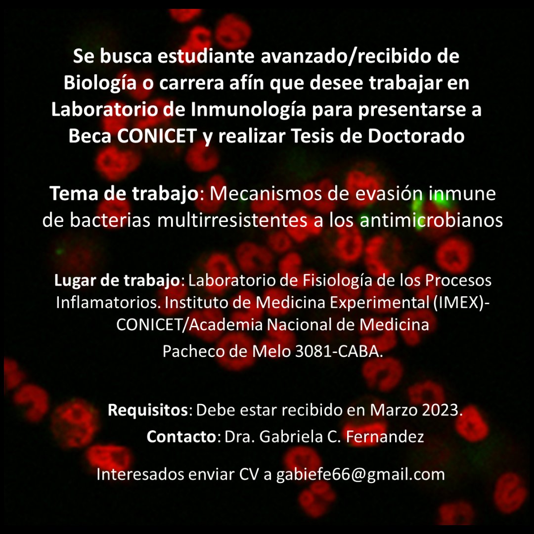 imex_conicetanm's tweet photo. 📣Si te interesa o conocés a alguien que le interese, en el flyer encontrás toda la info.
No te cuelgues!
#PhD #lab #antibiotics #multiresistant #intership #fellowship https://t.co/LsakNllbrb