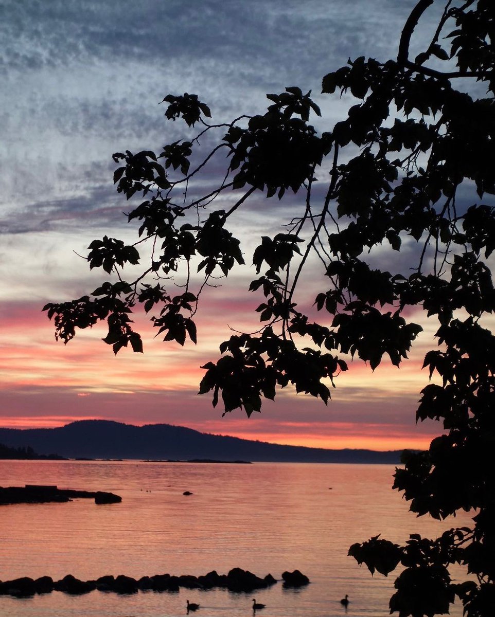 Sundays are for views. 🙌🌄

📸: marymcarthurphotography on Instagram

#OakBay #ExploreOakBay #yyj