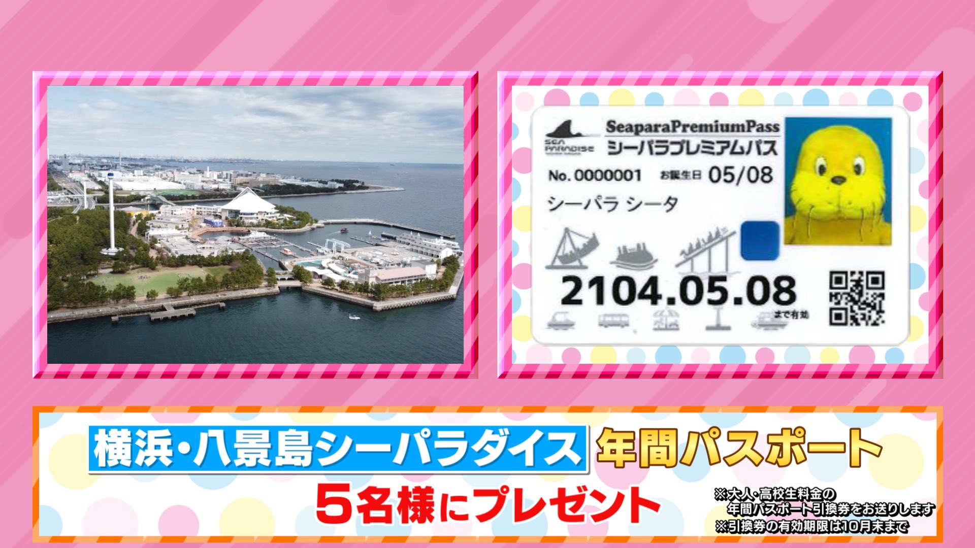 Landa S Lyu Chan 無名の竜 Lyuciferdb Twitter