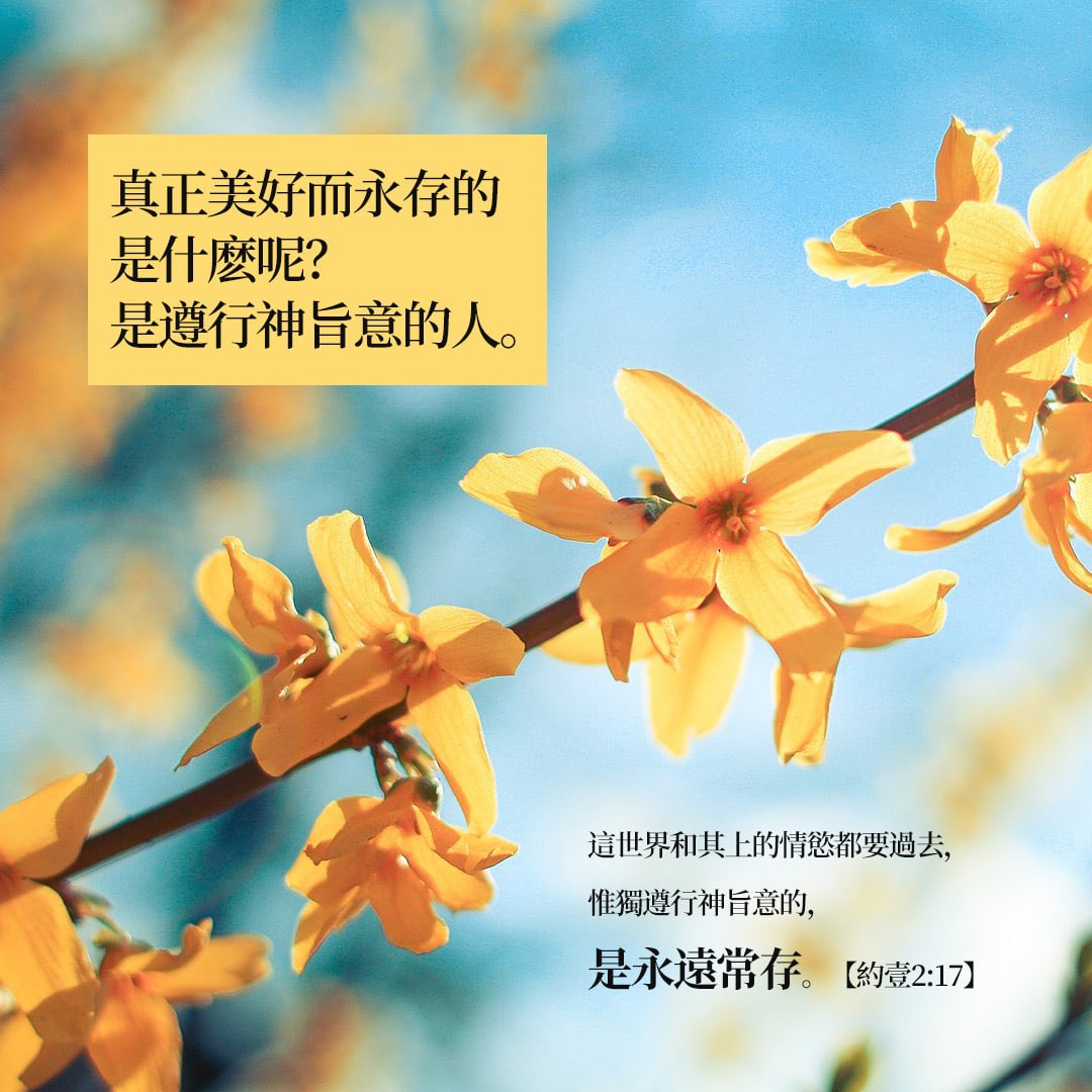 ISeeLight_t's tweet photo. 約翰一書(1 John) 2:17 這世界,和其上的情慾,都要過去,惟獨遵行神旨意的,是永遠常存。The world and its desires pass away, but whoever does the will of God lives forever.
☞https://t.co/Kv7m5Nt3k2
#每日經文 #華語基督徒 #聖經分享交流 #DailyBibleVerse #ISEELIGHT https://t.co/I4wd0Cd8LS