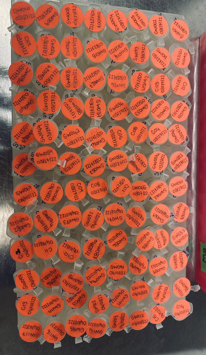 Solize Oosthuizen (Vosloo) tweet media