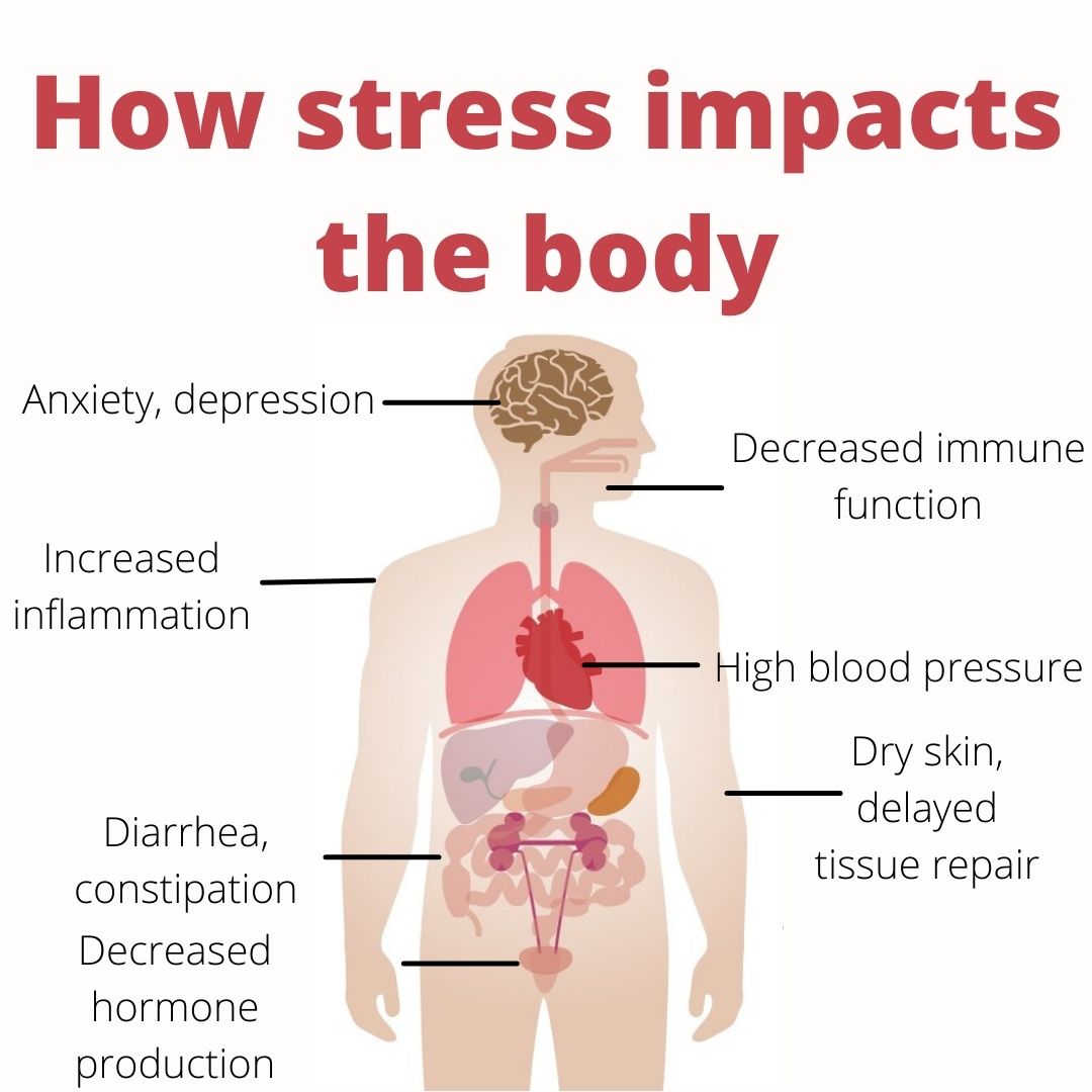SAMHINorg's tweet photo. Stress impacts many functions of the body. There are many health benefits to reducing stress. Being able to effectively manage stress can also increase life expectancy.
#stressimpact #stresseffects #chronicstress https://t.co/B9KtHo5MD0