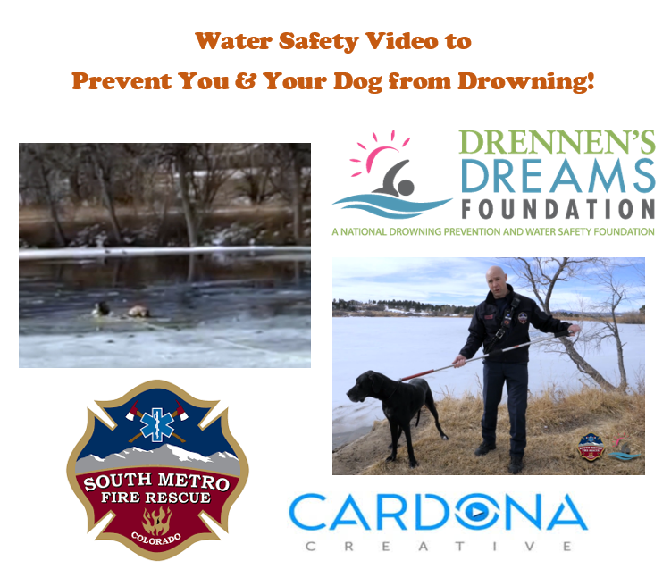 youtu.be/gSPJMk9ydVk  As the ice on frozen lakes melts away, your dog may be at risk of falling through the ice into the water and in the need of rescue. Please watch this 7-minute video to keep your dog, and you, safe from drowning!