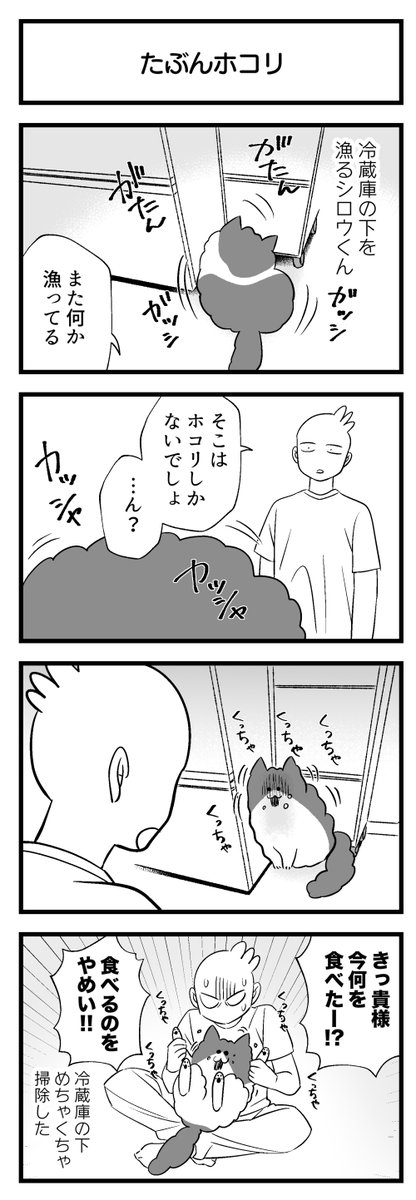 たぶんホコリ 