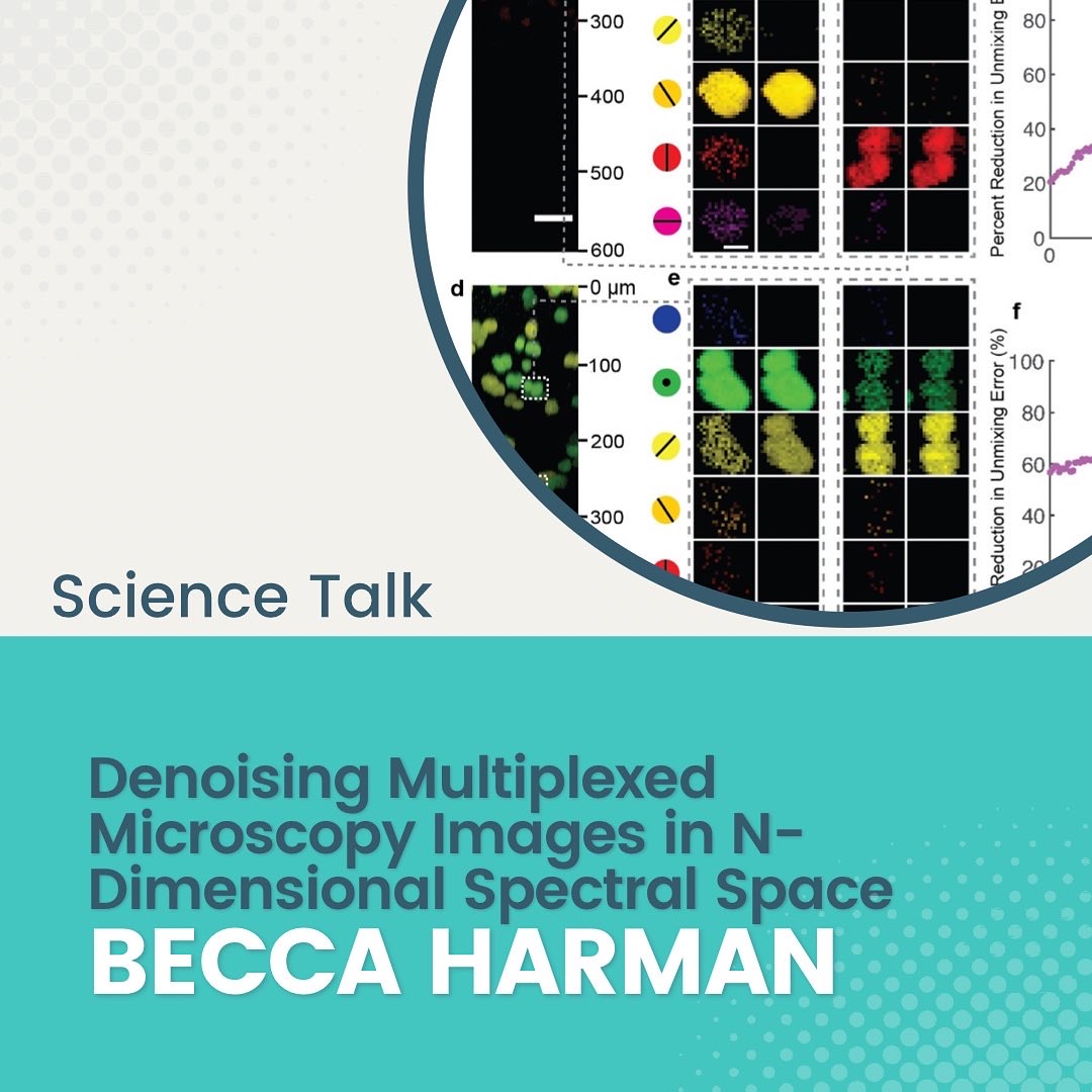 SpringLabNU tweet media