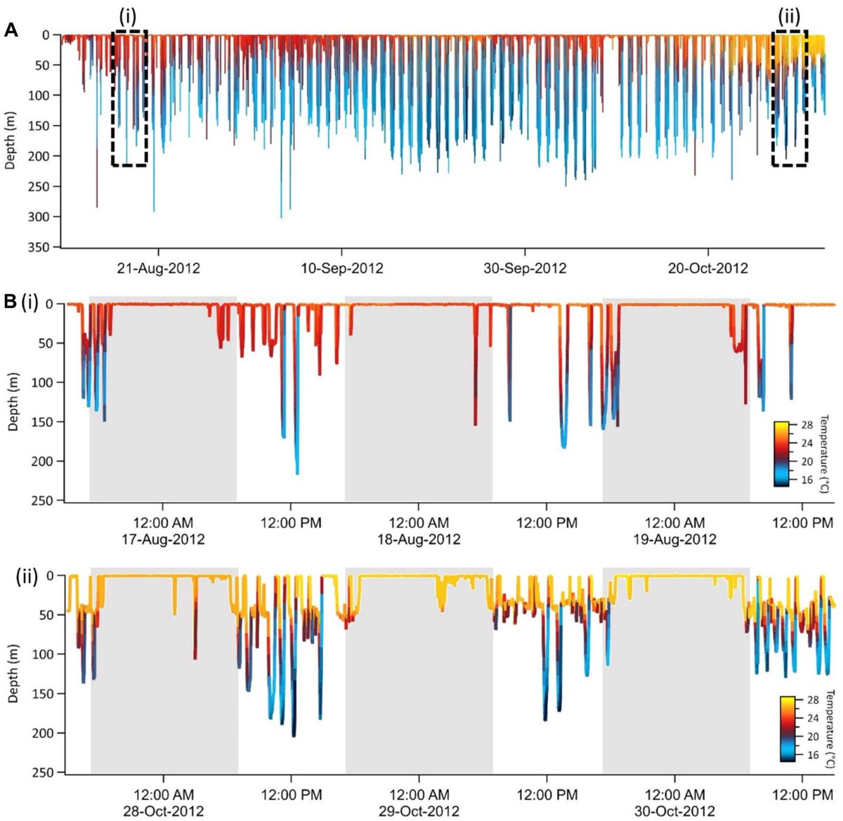 Sammy Andrzejaczek tweet media
