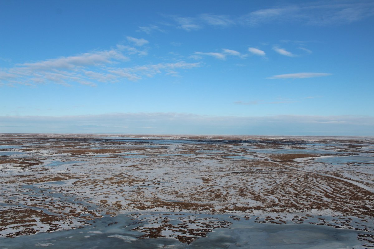 PermafrostPaths's tweet photo. We're so excited to be out in the field!!!! SO cool to see the tundra and the frozen landscape ❄️
Checking on the eddy covariance towers, fingers crossed for good data🤞

Thanks to @jackiehung4 for the stunning photos! https://t.co/AR2gxYKmH6