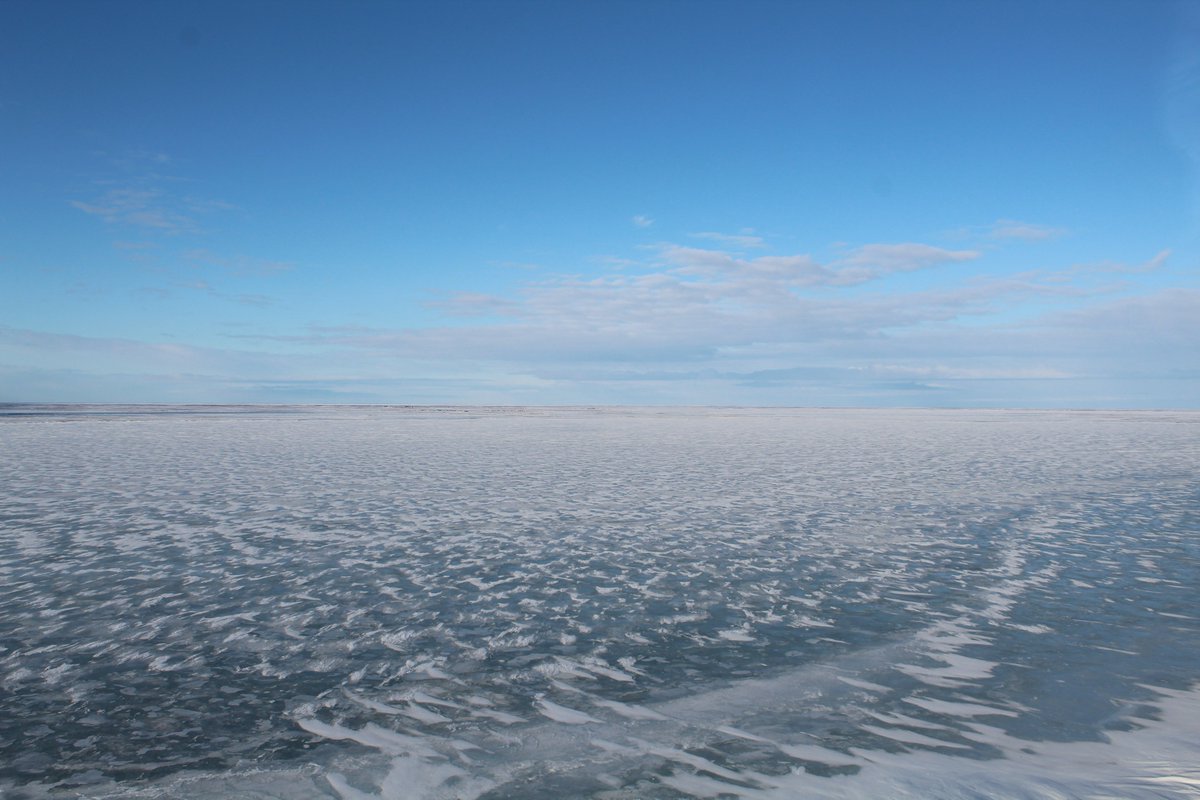 PermafrostPaths's tweet photo. We're so excited to be out in the field!!!! SO cool to see the tundra and the frozen landscape ❄️
Checking on the eddy covariance towers, fingers crossed for good data🤞

Thanks to @jackiehung4 for the stunning photos! https://t.co/AR2gxYKmH6