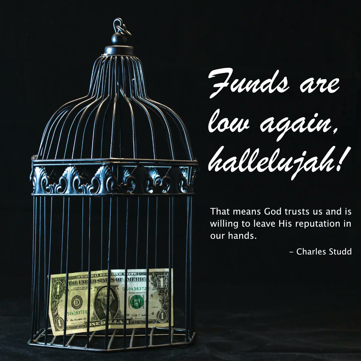 MissionViewfinder tweet media