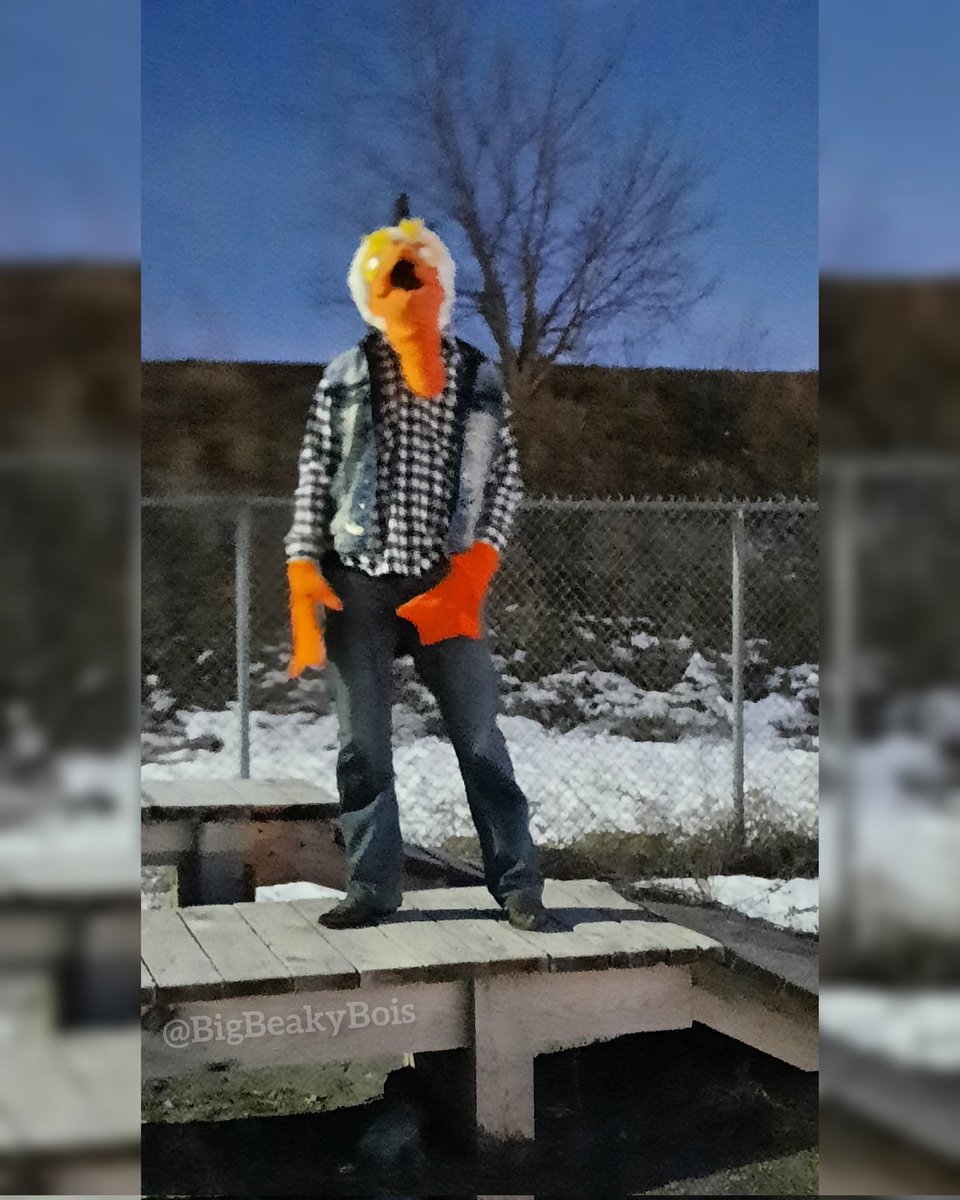 BigBeakyBois's tweet photo. Blursed Anchovy: a triptych - 2/3
Aka have some outtakes lol
#fursuit #fursuiter #partialfursuit #birdfursuit #pelicanfursuit #pelican #toonyfursuit #canadianfursuiter #furry #fursona #canadianfurries #fursuitphoto https://t.co/4cDb0HthNN