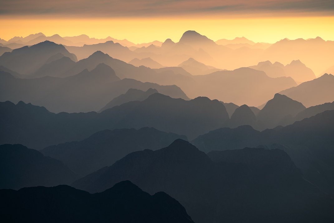 William Patino tweet media
