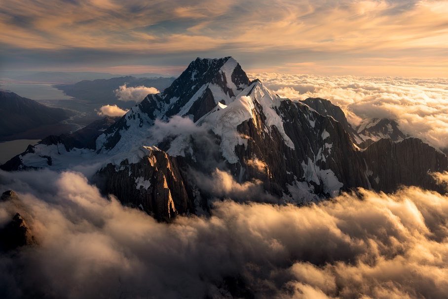 William Patino tweet media