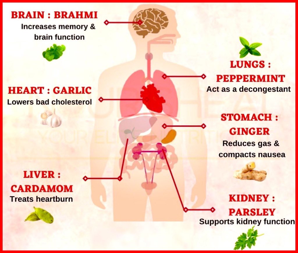 Herbs for different parts of your body 
#Naturopathy #FitBharat