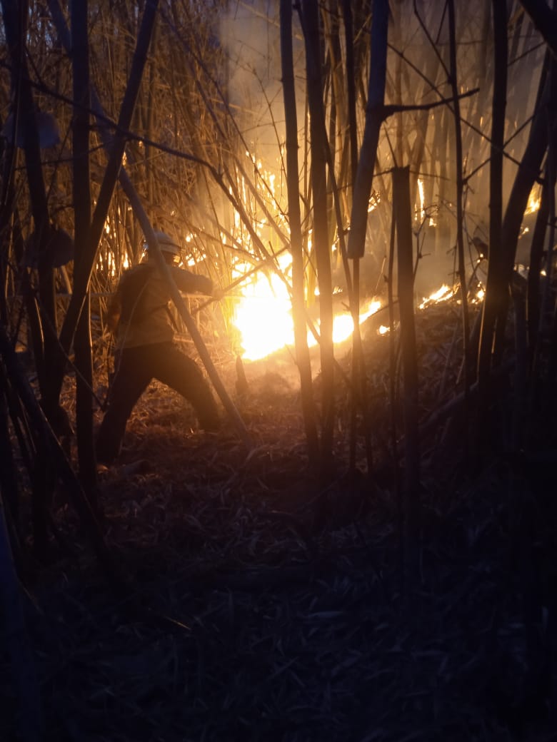 danielgcolina's tweet photo. Me informan que al área del incendio se acaba de presentar  el viceministro de Gestión de Riesgo y Director Nacional de Protección Civil y Administración de Desastres M/G Carlos Pérez Ampueda. Extraoficial se estima entre 2 y 3 hectáreas devastadas por el fuego. https://t.co/oPYU0JYlOz