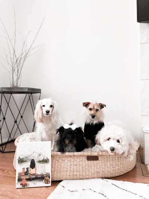 OfficialUnifury's tweet photo. Love is the four-legged world 💕
📷 @oreoloveslola
#unifury #dogmomlife #personalizedcanvas #dogmomclub #dogsofinstagram #canvadesign https://t.co/vdWFuKKEua