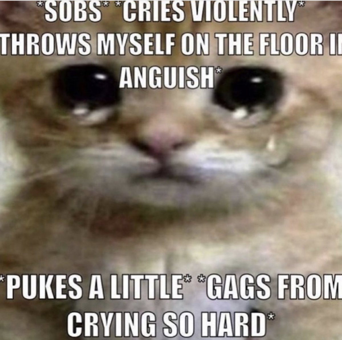 SizeScribbles's tweet photo. @smolwrite Why would you even suggest that😭 https://t.co/fwGEfyXstk