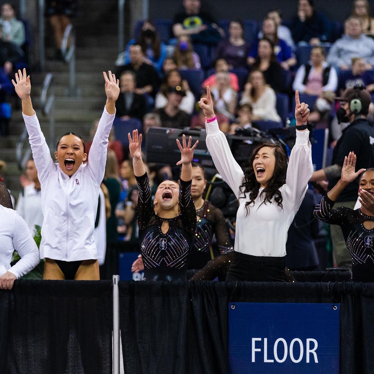 StanfordWGym's tweet photo. Few coaches have done what @coachtabyim has this season: 
- upset No. 13 &amp; No.19 ranked teams for a spot in the Regional Finals 
- coach her program to back-to-back 197+ for the first time since 2015 
- improved her team’s ranking by 38 places from ‘21 to ‘22

Flipped the script. https://t.co/bL2uWtMxGf