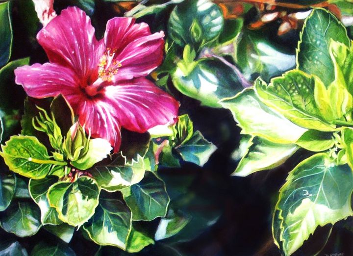 HammerDwight's tweet photo. Featured Art of the Day: "Red Hibiscus". Buy it at: https://t.co/qgnJALJ7lj https://t.co/BWsetL0neM