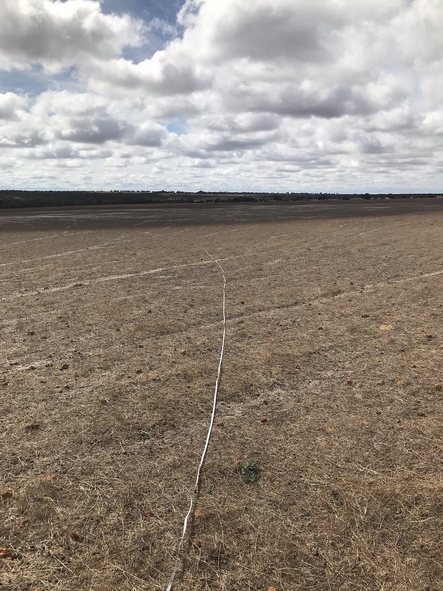 AnnaCornell1997's tweet photo. Site visit for two 30m wide nature corridors in Kojarena. Both corridors will be a mixed biodiverse planting under @NACC_NRM #NLP Growing Great Ground project. Contact myself at Anna.cornell@nacc.com.au  if you’re interested in something similar 🌱🌿 @DeptAgNews @AusLandcare https://t.co/aSHiEg8ipn