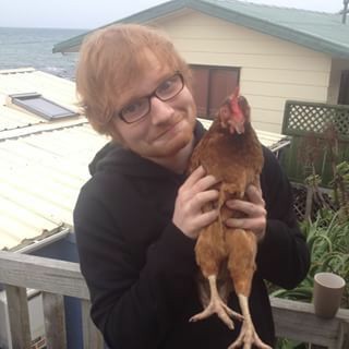 AshiMitsuya's tweet photo. Welcome home Ed oppa. 
#EdSheeranBestBoy Uwu https://t.co/JgGKSVgyDa