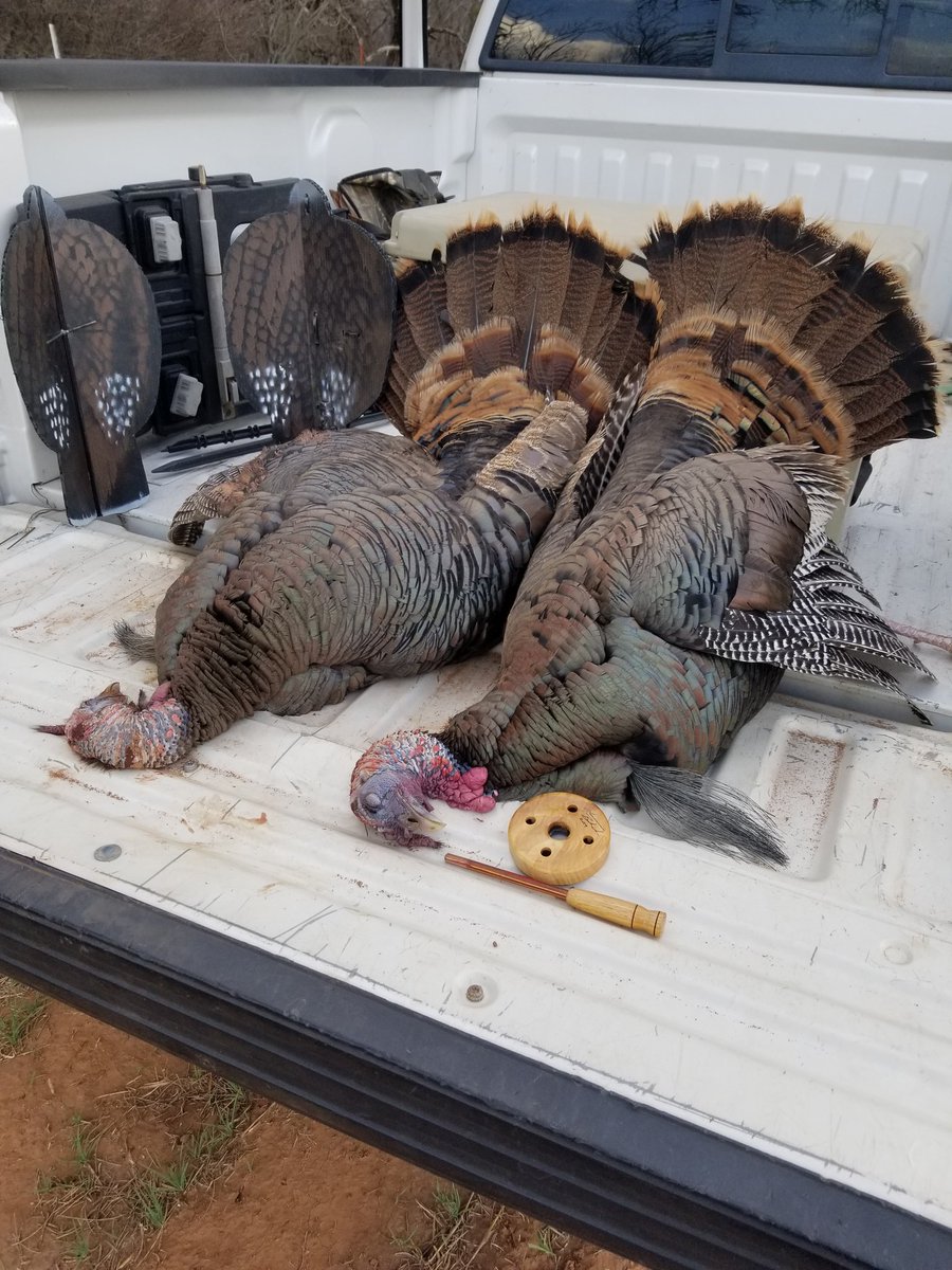 aaron_tagerson's tweet photo. WOW, What a way 2 finish off first day of Turkey huntin! Tagged out 4 the season, so Blessed #MakeItADouble 4 the #Gurlz #cantstoptheflop #WildTurkey I Absolutely Love this! Thanks to @BubeckLawrence &amp; @Stevenhinson5  for the great gear! I'm sad it's already over!🤦‍♂️😜💪🦃🦃🥃🥃 https://t.co/mNaGYKAIAf