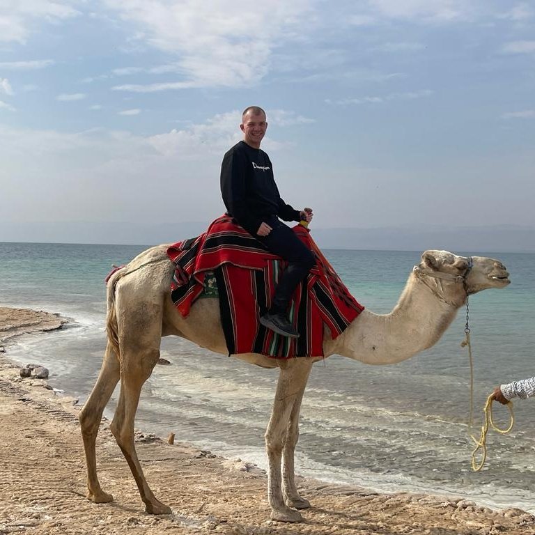 Kyle Michael? tweet media