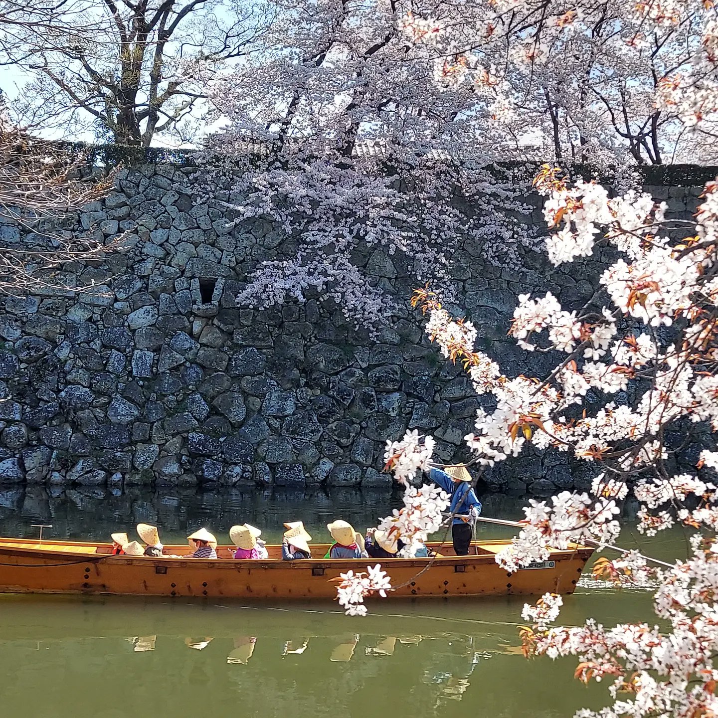 私を忘れないで Twitter Search Twitter