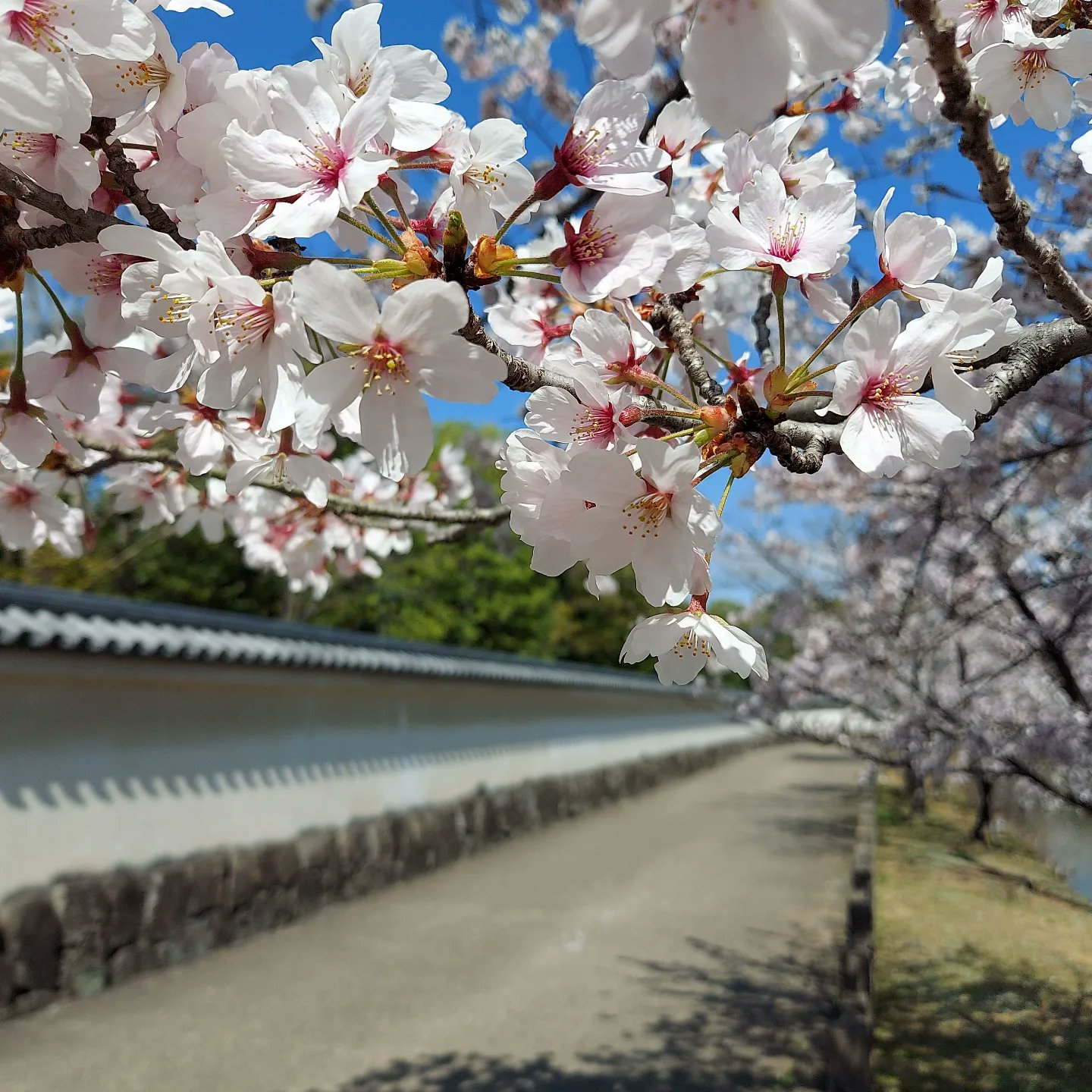 私を忘れないで Twitter Search Twitter