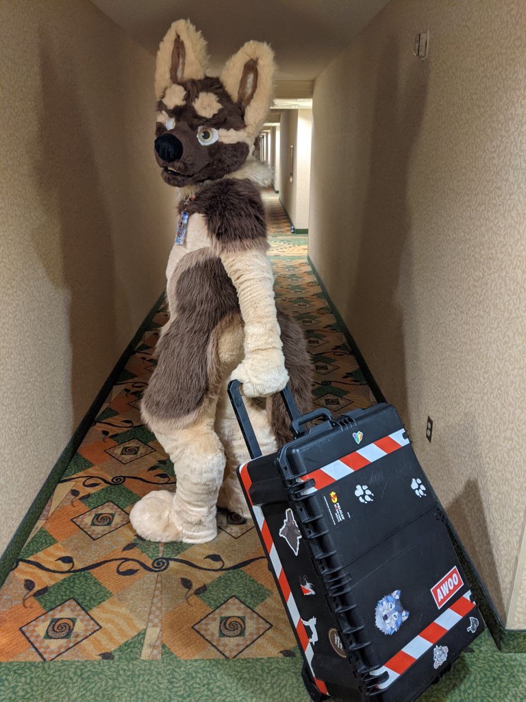 leongshep's tweet photo. BARK BARK! I guess its time to get this twitter started!! https://t.co/RFYGPAjS9g