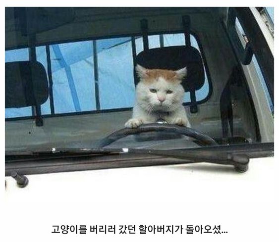 gugija1's tweet photo. 버려질것 같아서 내가 버렸어

그래미 보이콧
그래미 수상
사쿠라 르세라핌
갸루피스
너무 아파해
부천 라흐
올리비아
사쿠라 공개
사쿠라 얼굴
버르장머리
올리비아 https://t.co/n30WYnz9fz