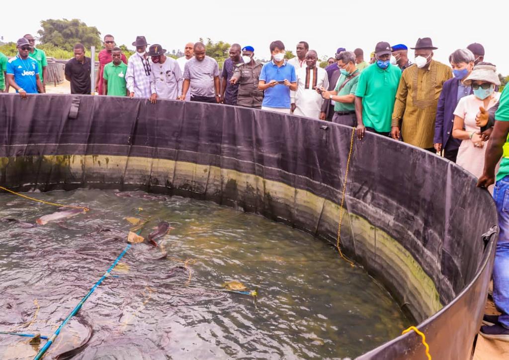 Mizibevie's tweet photo. #DestinationBayelsa
Bayelsa State has comparative advantage in crops such as rice, cassava, sugarcane, palm trees, palm oil, plantain as well as in fisheries and aquaculture. Investment in agriculture a real deal! https://t.co/PKg1QND8nE