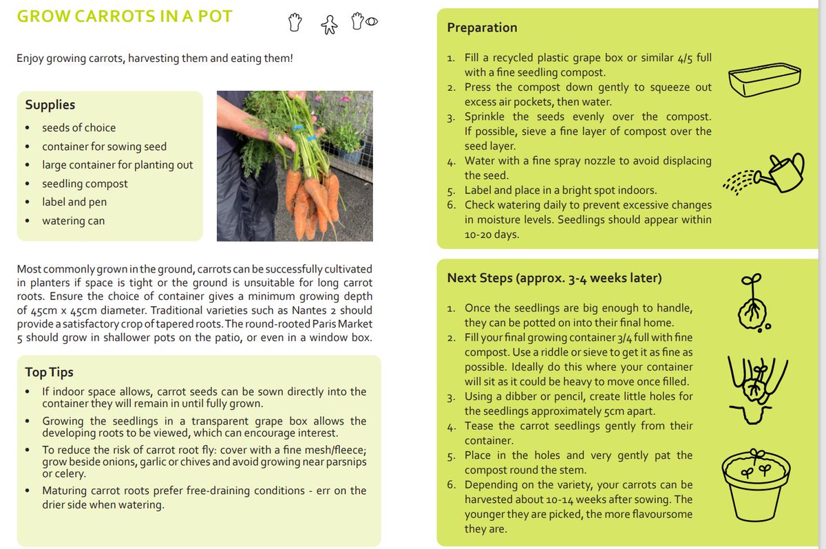 Trellis_Network's tweet photo. It's International Carrot Day!  
So today we're sharing our simple activity guide to growing carrots in a pot. It's part of our Year Round Gardening Activity Book coming soon....happy gardening. #gardening #carrots #horticulture #therapeuticgardening #gardeningforwellbeing https://t.co/zQcbbulRVO